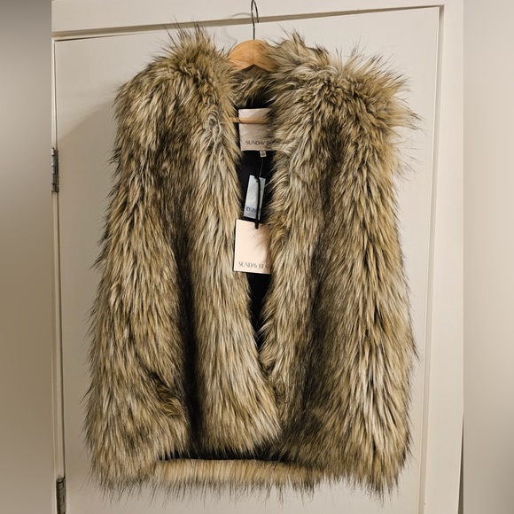 New Artizia Sunday Best Ovid Fur Fluffy Oversized Hoddie Coat Vest Jacket XS - Picture 4 of 6